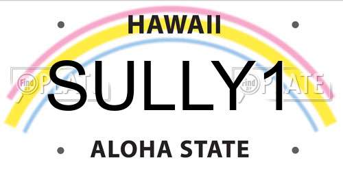 SULLY1 Hawaii License Plate