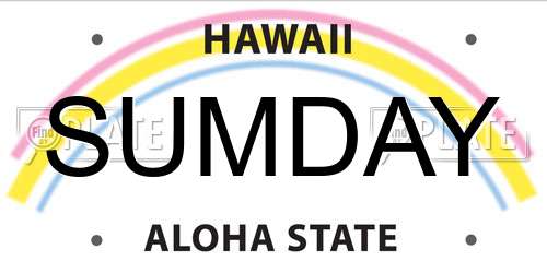 SUMDAY Hawaii License Plate