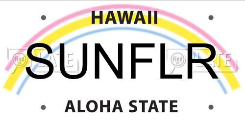 SUNFLR Hawaii License Plate
