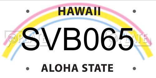 SVB065 Hawaii License Plate