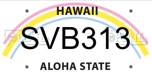 SVB313 Hawaii License Plate