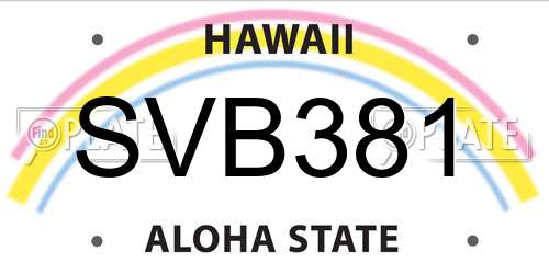 SVB381 Hawaii License Plate