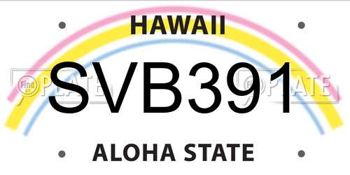 SVB391 Hawaii License Plate