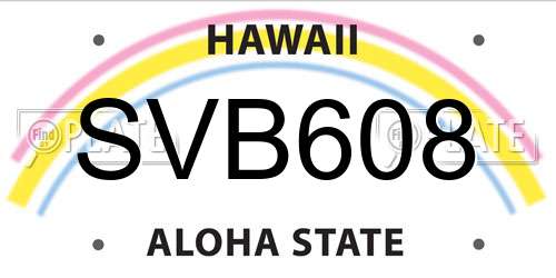 SVB608 Hawaii License Plate