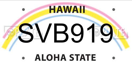 SVB919 Hawaii License Plate