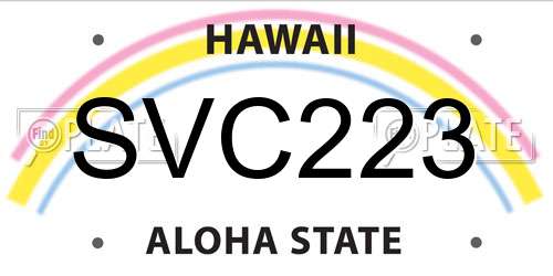 SVC223 Hawaii License Plate