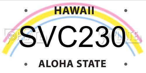 SVC230 Hawaii License Plate