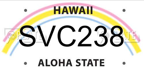 SVC238 Hawaii License Plate