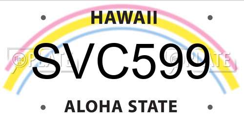 SVC599 Hawaii License Plate