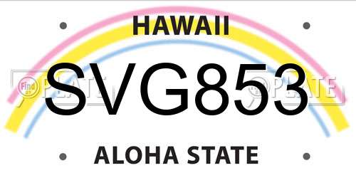 SVG853 Hawaii License Plate