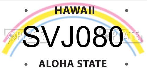 SVJ080 Hawaii License Plate