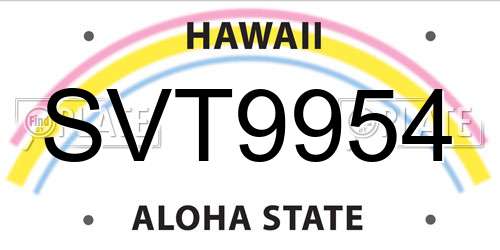 SVT9954 Hawaii License Plate