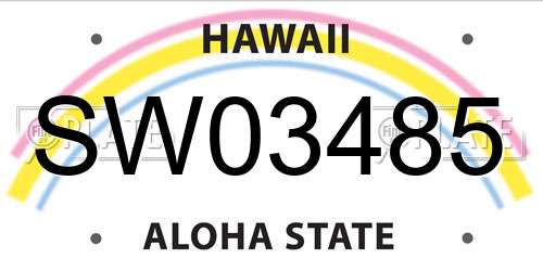 SW03485 Hawaii License Plate