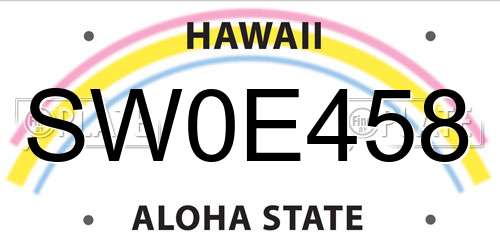 SW0E458 Hawaii License Plate