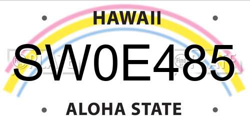 SW0E485 Hawaii License Plate