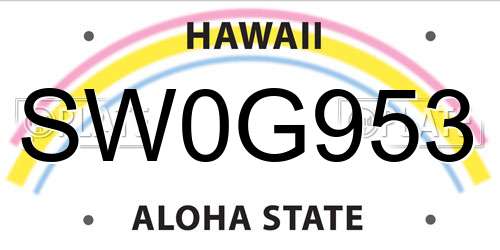 SW0G953 Hawaii License Plate
