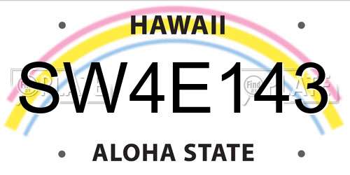 SW4E143 Hawaii License Plate