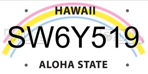 SW6Y519 Hawaii License Plate