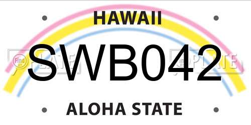 SWB042 Hawaii License Plate