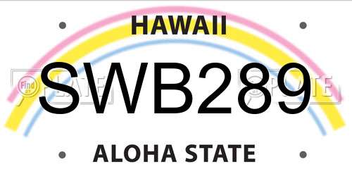 SWB289 Hawaii License Plate