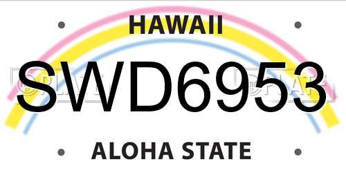 SWD6953 Hawaii License Plate