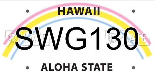 SWG130 Hawaii License Plate
