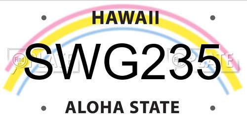SWG235 Hawaii License Plate