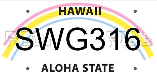 SWG316 Hawaii License Plate