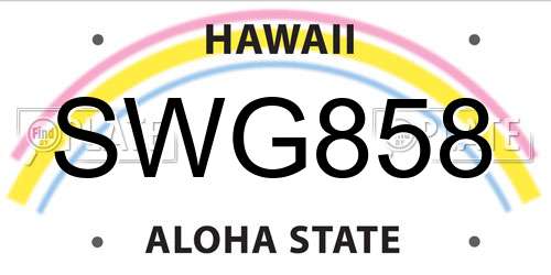 SWG858 Hawaii License Plate