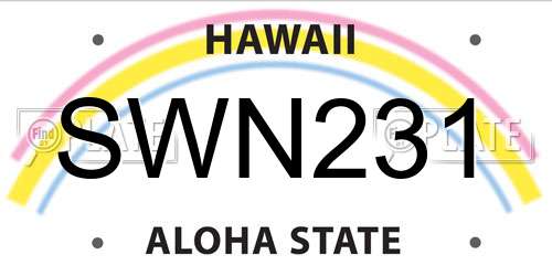 SWN231 Hawaii License Plate