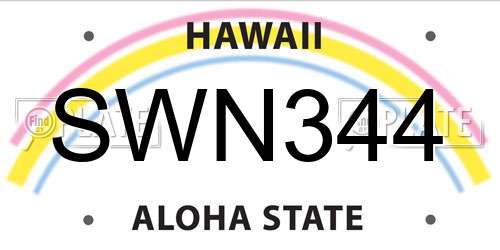 SWN344 Hawaii License Plate