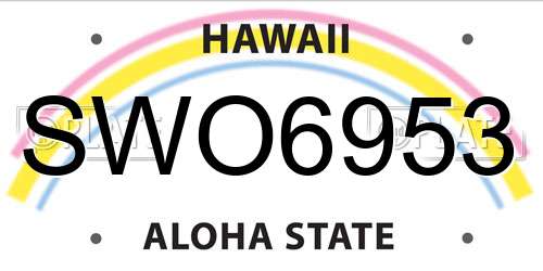 SWO6953 Hawaii License Plate
