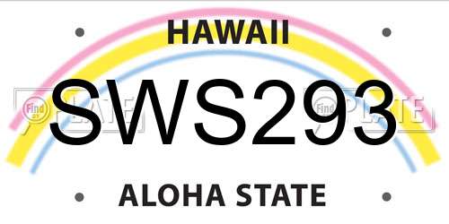SWS293 Hawaii License Plate