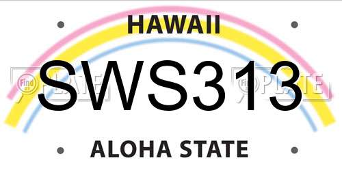 SWS313 Hawaii License Plate