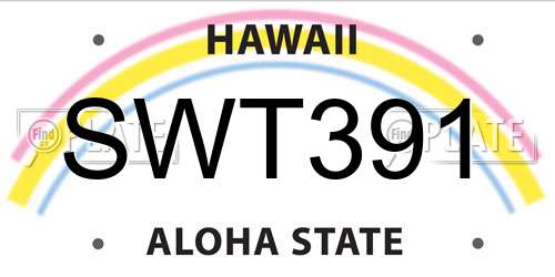 SWT391 Hawaii License Plate
