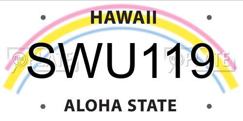 SWU119 Hawaii License Plate