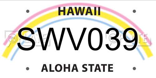 SWV039 Hawaii License Plate