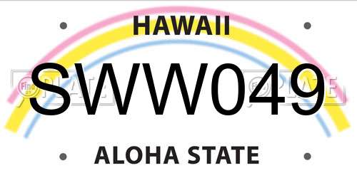SWW049 Hawaii License Plate