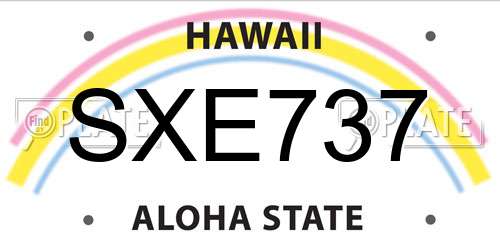 SXE737 Hawaii License Plate