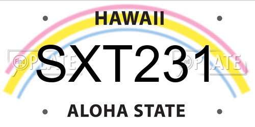 SXT231 Hawaii License Plate