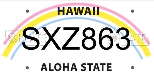SXZ863 Hawaii License Plate