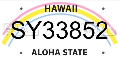 SY33852 Hawaii License Plate