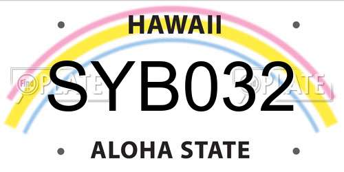 SYB032 Hawaii License Plate