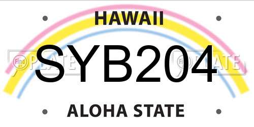 SYB204 Hawaii License Plate