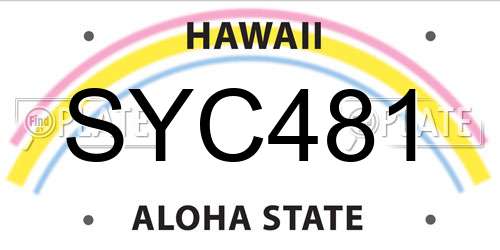 SYC481 Hawaii License Plate