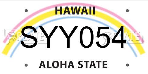 SYY054 Hawaii License Plate