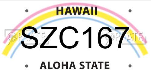 SZC167 Hawaii License Plate