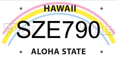 SZE790 Hawaii License Plate