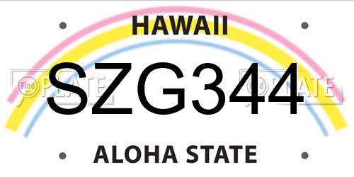 SZG344 Hawaii License Plate