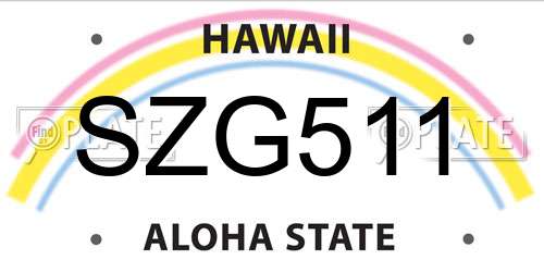 SZG511 Hawaii License Plate